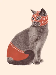 Lutteur de chat
