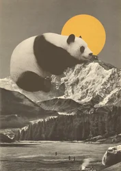 Sieste du panda dans les montagnes