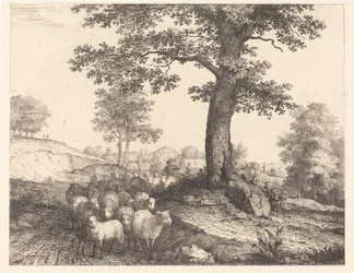 Berger et troupeau sous un arbre ancien