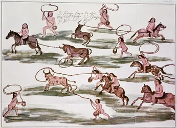 La méthode de chasse des Indiens Mocovi, illustration de 