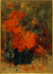 Bégonias et capucines