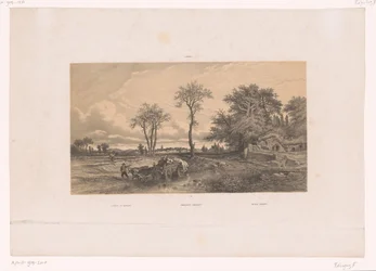 Chariot de paysans avec bœufs dans un paysage hongrois