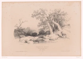 Paysage rocheux avec eau et deux cerfs (Cours de dessin. Paysages, figures, animaux, accessoires, par Férogio)