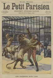 Un dompteur de lions attaqué par l