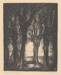 Arbres d