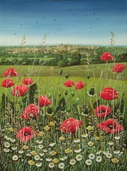 Coquelicots d