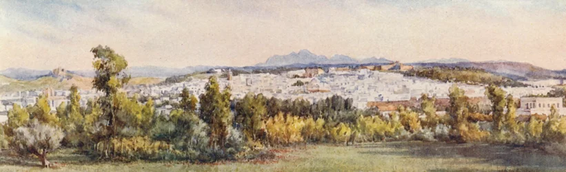 Tunis depuis le Belvédère