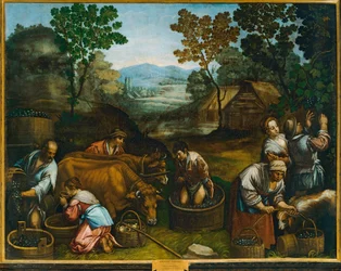 Vendanges