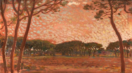 Pinède en Maremme