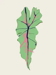 Feuille verte veinée de rose