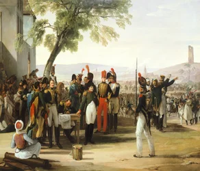 Napoléon après la bataille de Wagram
