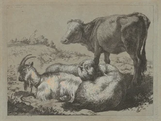 Bœuf debout, deux moutons et une chèvre