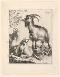 Trois chèvres