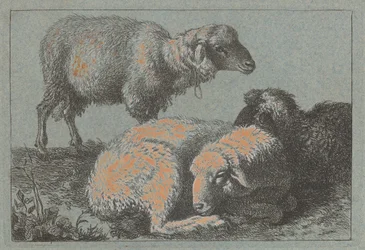 Deux Moutons Couchés et Un Mouton Debout