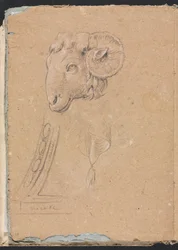 Carnet de croquis de Vérone : Tête de bélier (page 12)