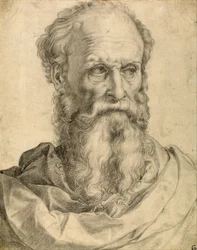 Tête et épaules d