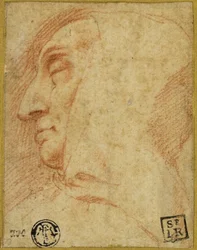 Tête d