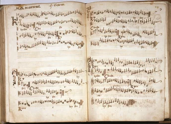 Messe de Carnaval dans « Liber Capella » par Franchini (Franchino) Gaffurio (Franchinus Gaffurius) (1451-1522). Vol.III
