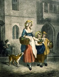 Deux bouquets de primevères à un sou, deux bouquets à un sou, Planche 1 des "Cries of London"
