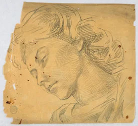 Croquis de la tête d