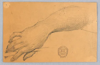 Étude de la main et du poignet