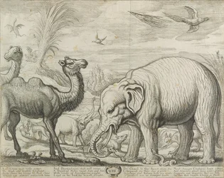 Afrique, 1672
