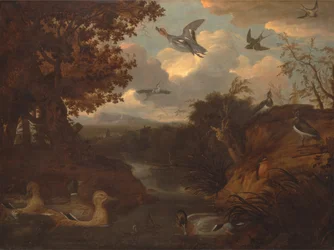 Canards et autres oiseaux autour d
