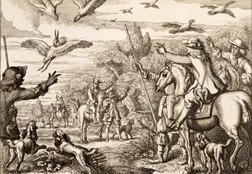 Fauconnerie de héron, gravée par Wenceslaus Hollar, 1671