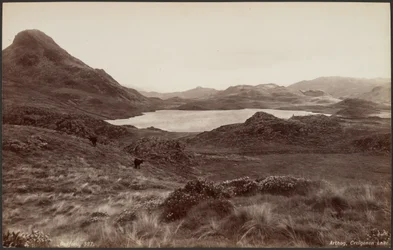 Arthog, lac Creigenen