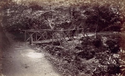 Colwyn Bay. Pont Rustique dans le Bois, 1870s