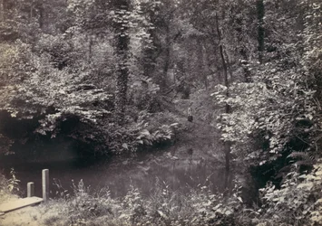 Colwyn Bay. La piscine dans le bois
