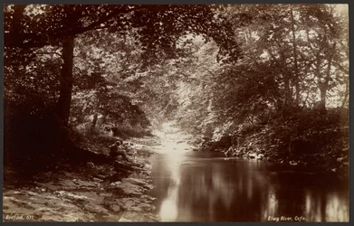Rivière Elwy, Cefn
