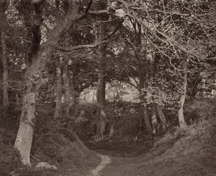 Glen Kenilworth, c. 1868 (photo)