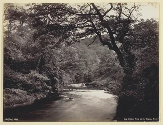 Pont de lierre, vue sur la rivière Prysor