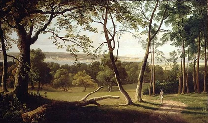 Le domaine de Powderham, Devon