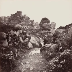 Rochers de Brimham, Yorkshire