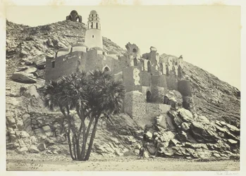 Palmier Doum et Mosquée en ruine, Philæ