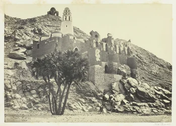 Palmier Doum et mosquée en ruine, Philæ
