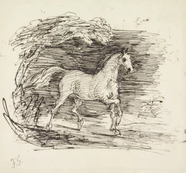 Un cheval gris trottant hors d