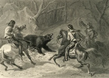 Californiens natifs lassant un ours, 1874
