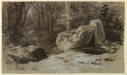 Rochers dans les bois