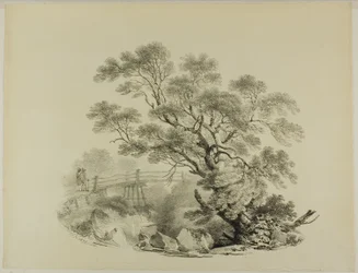 Arbre et passerelle