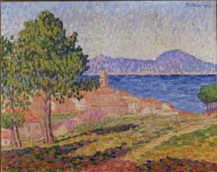 Vue de Saint-Tropez depuis la Zita- delle