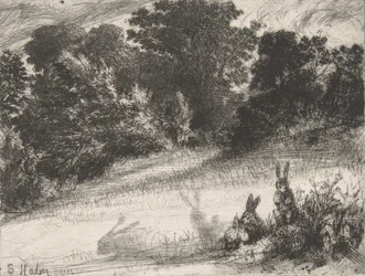 Combe Bottom
