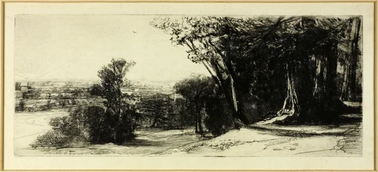 Tôt le matin, Richmond Park