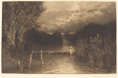 Pêche à la truite