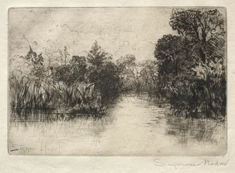 Étang de Shere Mill (Une petite étude)