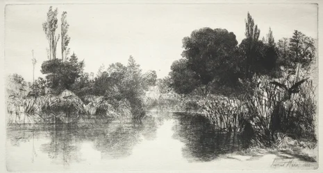 Étang de Shere Mill (la grande planche)