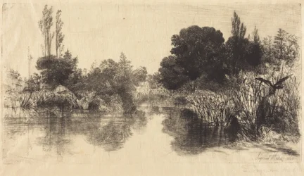 Étang du moulin de Shere, la grande planche