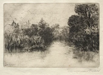 Étang de Shere Mill, une petite étude